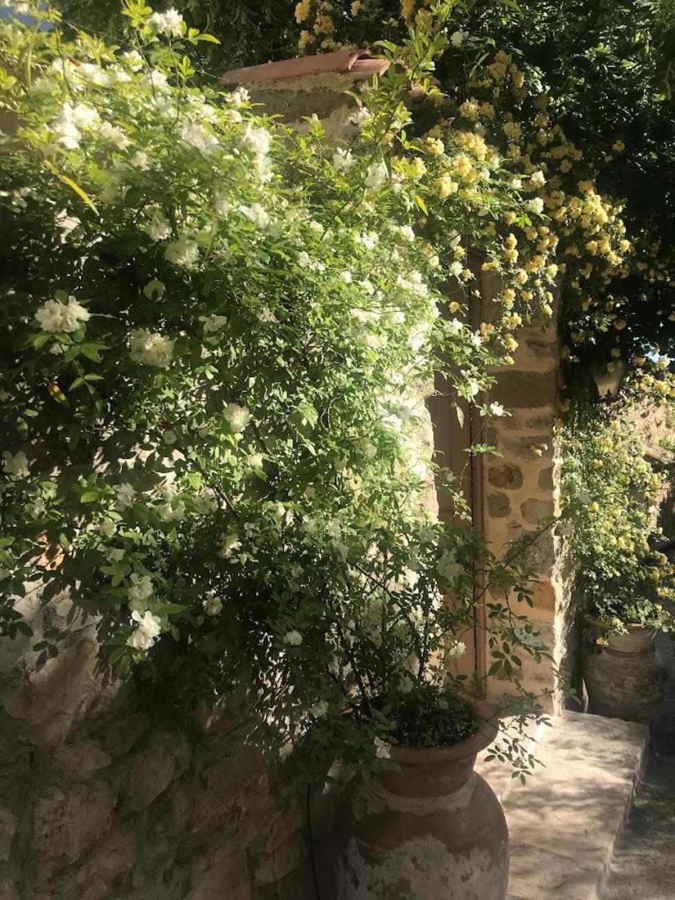 Les Vieux Murs Montfort  Экстерьер фото