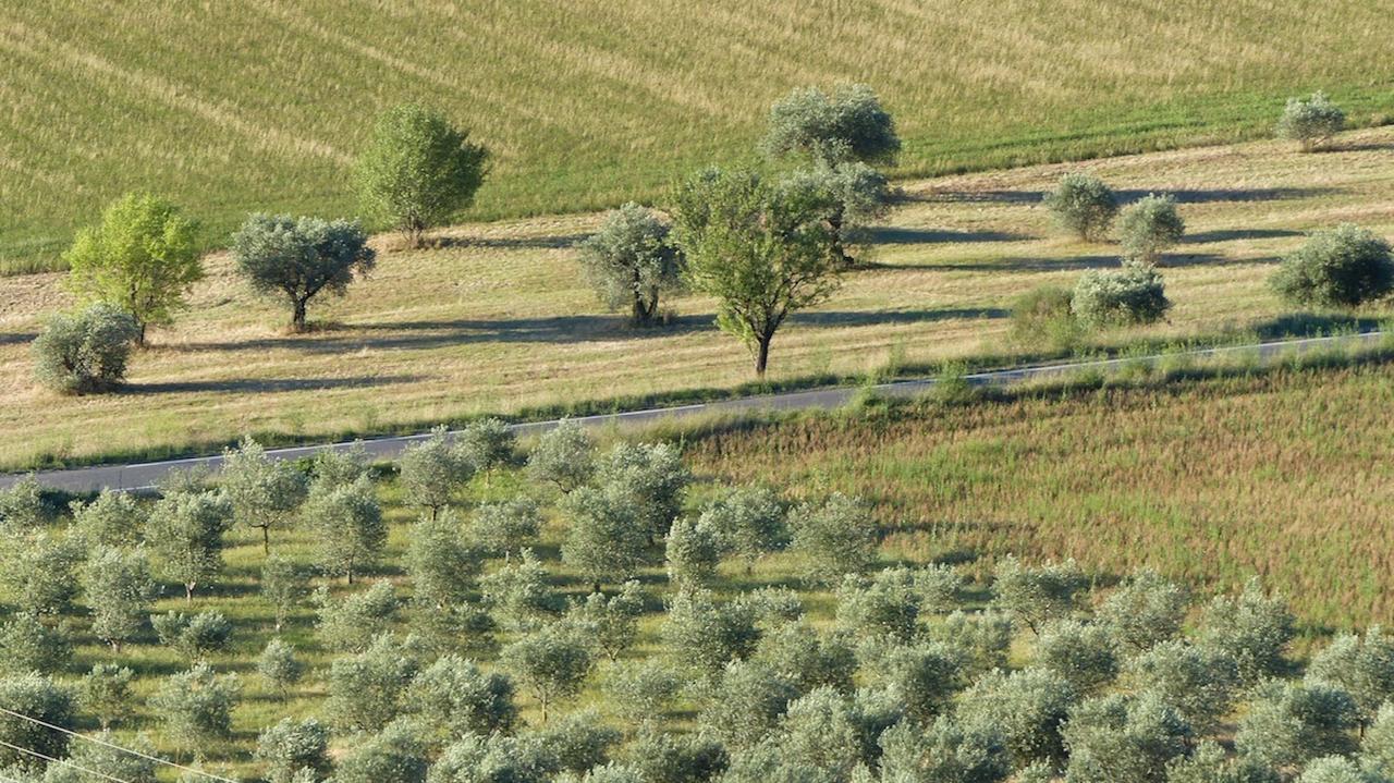 Les Vieux Murs Montfort  Экстерьер фото